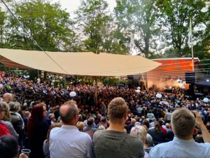 DSE Dire Straits Experience