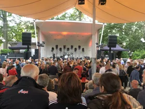 DSE Dire Straits Experience