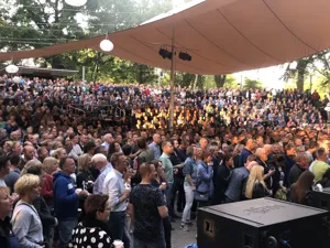 DSE Dire Straits Experience