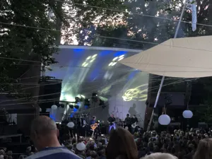 DSE Dire Straits Experience