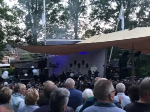 DSE Dire Straits Experience