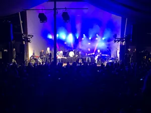 DSE Dire Straits Experience