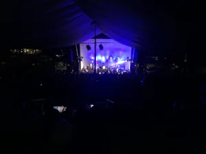 DSE Dire Straits Experience