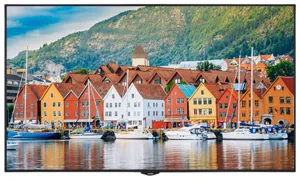 VESTEL  49 INCH DISPLAY PDU49UF924